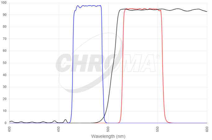 Chroma_39002